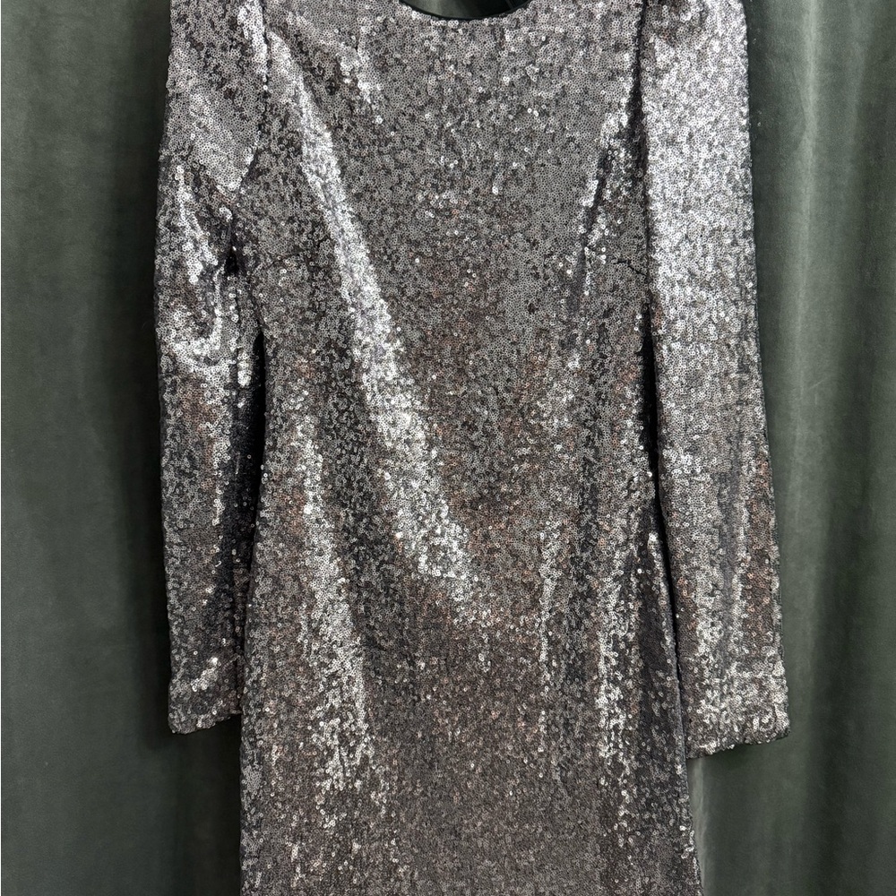 Silver Sequin Dress